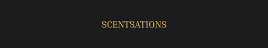 Top Designer & Niche Fragrance Collections to Elevate Your Presence