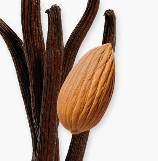 Vanilla bean pod with vanilla sticks on a white background