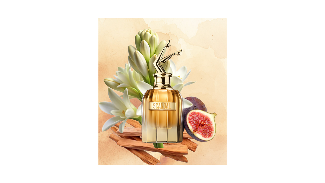 Scandal Absolu Review