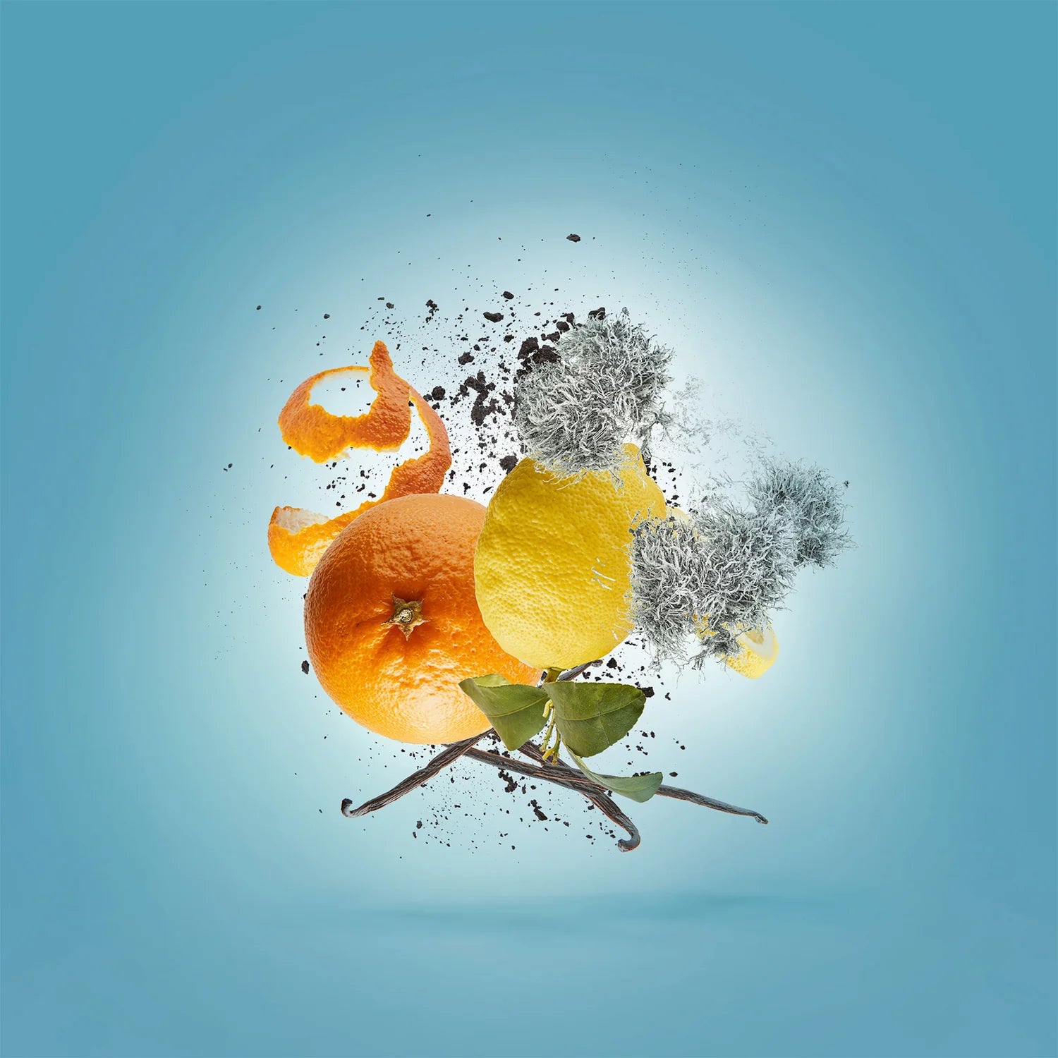 Oranges, lemons, and vanilla beans on a blue background